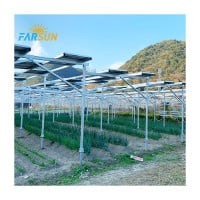 FS Agriculture Solar Park Holder Agri-PV System